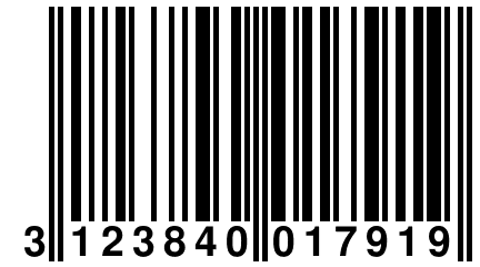 3 123840 017919