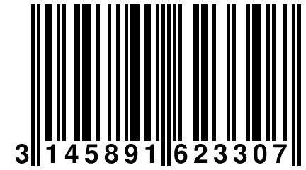 3 145891 623307