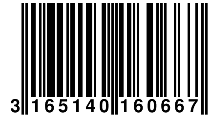 3 165140 160667