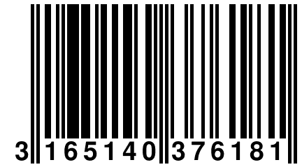 3 165140 376181