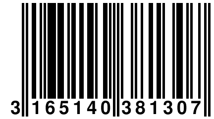 3 165140 381307