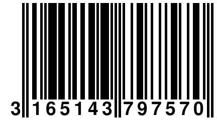 3 165143 797570