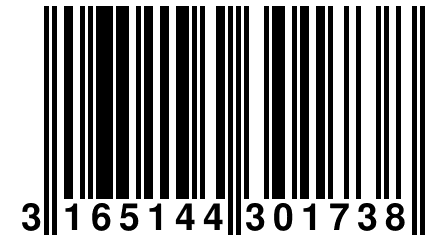 3 165144 301738