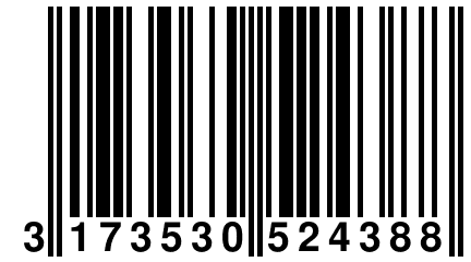 3 173530 524388