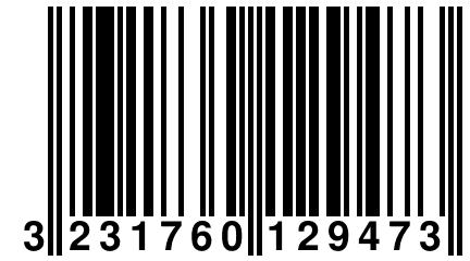 3 231760 129473