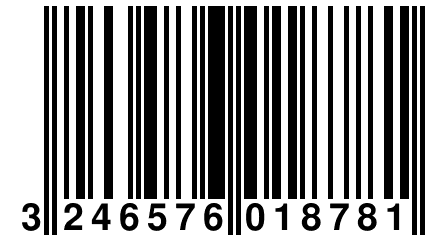 3 246576 018781