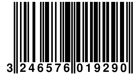 3 246576 019290