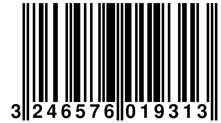 3 246576 019313