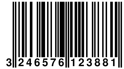 3 246576 123881