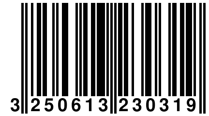 3 250613 230319