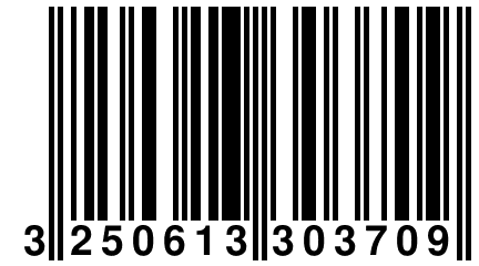 3 250613 303709