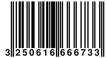 3 250616 666733