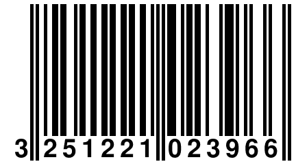 3 251221 023966