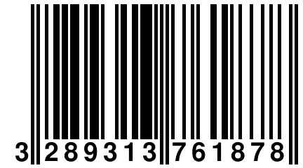 3 289313 761878