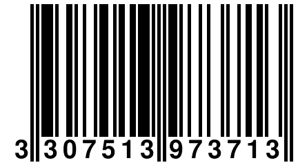 3 307513 973713