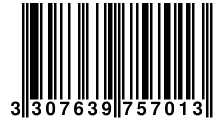 3 307639 757013