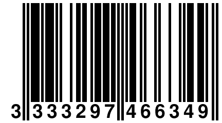 3 333297 466349