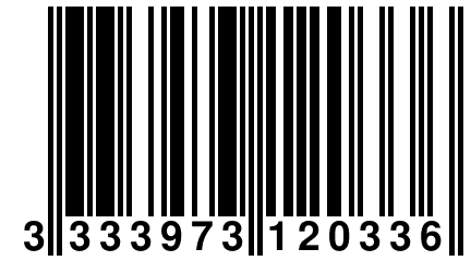 3 333973 120336