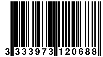 3 333973 120688