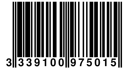 3 339100 975015