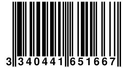 3 340441 651667