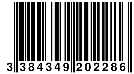 3 384349 202286