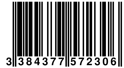 3 384377 572306