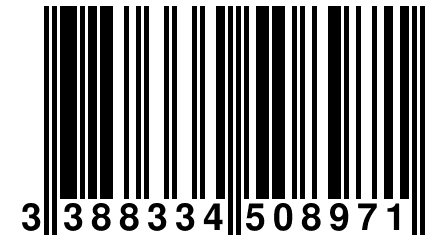 3 388334 508971