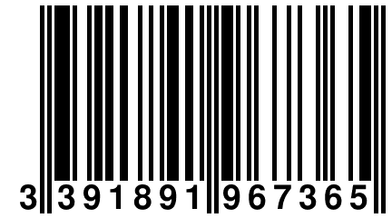 3 391891 967365