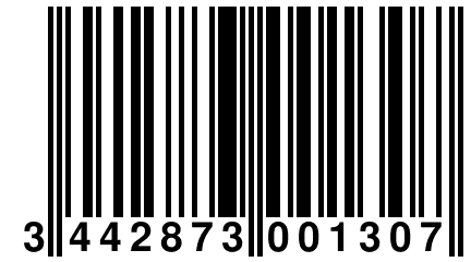 3 442873 001307