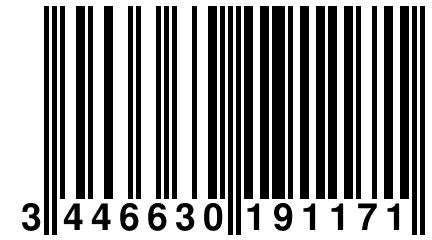 3 446630 191171