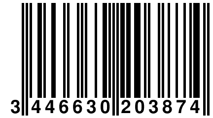 3 446630 203874