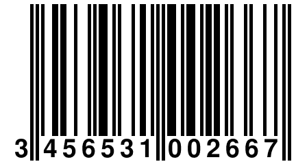 3 456531 002667