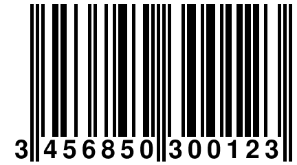 3 456850 300123