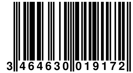 3 464630 019172