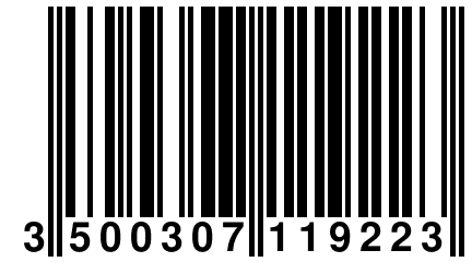 3 500307 119223