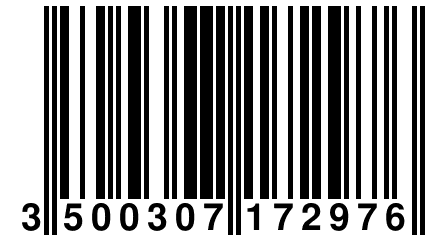 3 500307 172976