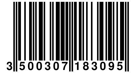 3 500307 183095