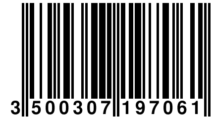 3 500307 197061