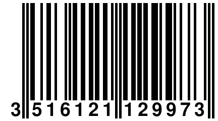 3 516121 129973