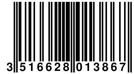 3 516628 013867