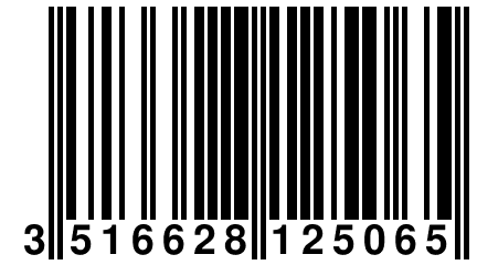 3 516628 125065