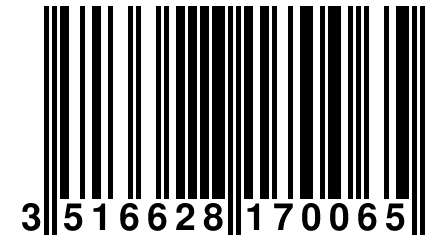 3 516628 170065