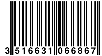 3 516631 066867