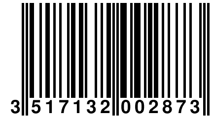 3 517132 002873