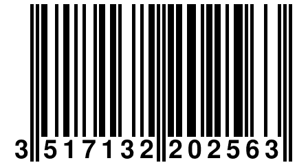 3 517132 202563