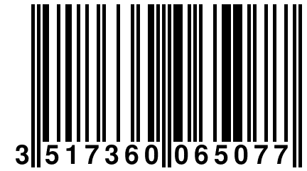 3 517360 065077