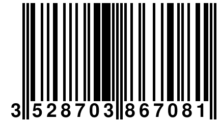 3 528703 867081