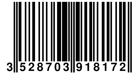 3 528703 918172