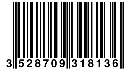 3 528709 318136